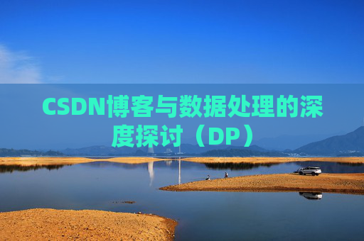 CSDN博客与数据处理的深度探讨（DP）